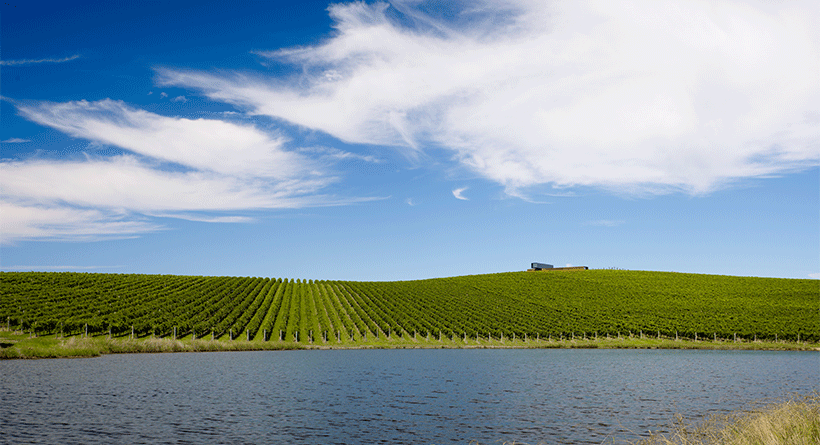 Denton Viewhill Vineyard Lake